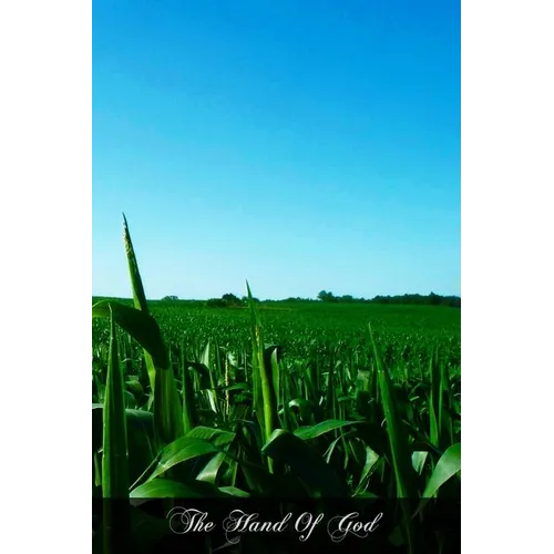 The Hand Of God: A Theology For The People - Paperback