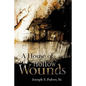 A House of Hollow Wounds - Paperback