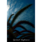 Spiritual Conferences - Paperback