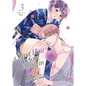 Sweet Heat Before Falling in Love: The CEO and His Fated Omega Vol. 3 - Paperback