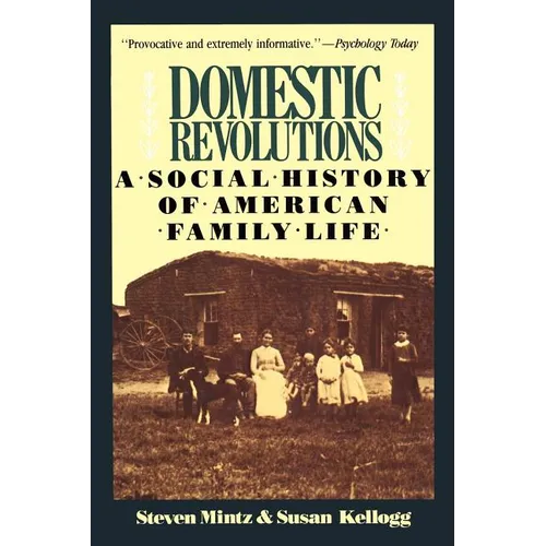 Domestic Revolutions: A Social History of American Family Life - Paperback