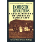 Domestic Revolutions: A Social History of American Family Life - Paperback