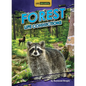 Forest Life Connections - Paperback