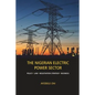 The Nigerian Electric Power Sector: Policy, Law, Negotiation Strategy, Business - Paperback