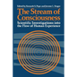 The Stream of Consciousness: Scientific Investigations Into the Flow of Human Experience - Paperback