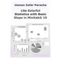 Lite Statistics with Basic Steps in Minitab(R) 19 - Paperback