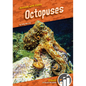 Octopuses - Library Binding