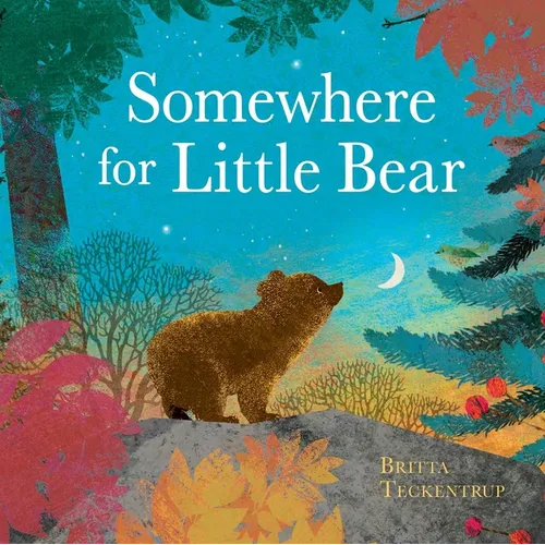 Somewhere for Little Bear - Hardcover