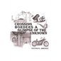 Crossing Borders a Glimpse of the Unknown - Paperback
