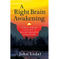 A Right Brain Awakening: What Grief Taught a Heartbroken Engineer - Paperback