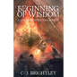 The Beginning of Wisdom - Paperback
