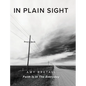 In Plain Sight: Faith Is In The Everyday - Hardcover