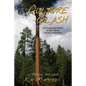 Culture Clash - Paperback