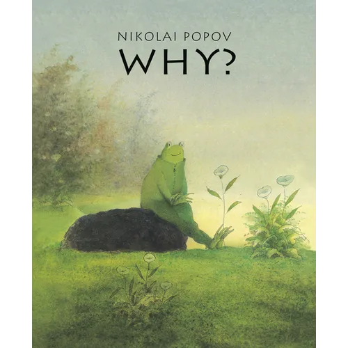 Why?: A Timeless Story Told Without Words - Hardcover