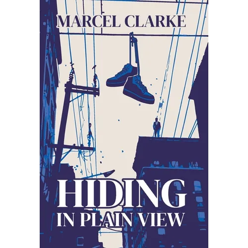 Hiding in Plain View - Hardcover