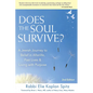 Does the Soul Survive? (2nd Edition): A Jewish Journey to Belief in Afterlife, Past Lives & Living with Purpose - Hardcover