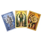 Wicked Notebook Collection (Set of 3) - Paperback