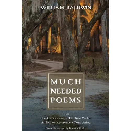 Much Needed Poems - Paperback