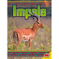 Impala - Library Binding