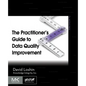 The Practitioner's Guide to Data Quality Improvement - Paperback