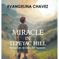 Miracle in Tepeyac Hill: Milagro en el Cerro del Tepeyac - Hardcover