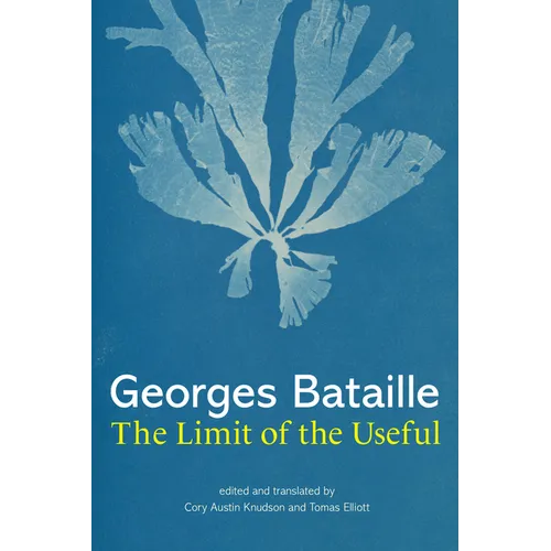 The Limit of the Useful - Hardcover