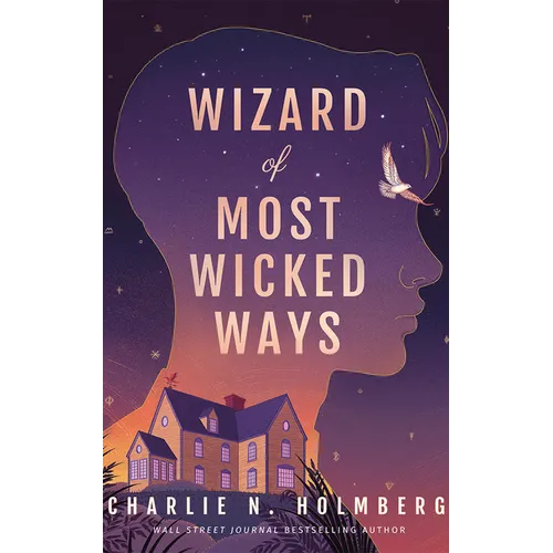 Wizard of Most Wicked Ways - Paperback
