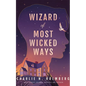 Wizard of Most Wicked Ways - Paperback