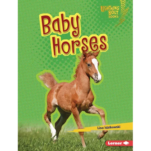 Baby Horses - Library Binding