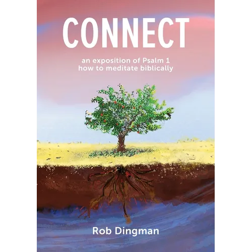Connect - Paperback