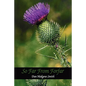 So Far from Forfar - Hardcover