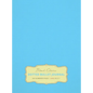 Large 8.5 x 11 Dotted Bullet Journal (Sky Blue #10) Hardcover - 245 Numbered Pages - Hardcover