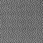 Grey Extra Wide Dottie Cuddle Charcoal Fabric per yard