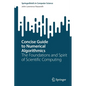 Concise Guide to Numerical Algorithmics: The Foundations and Spirit of Scientific Computing - Paperback
