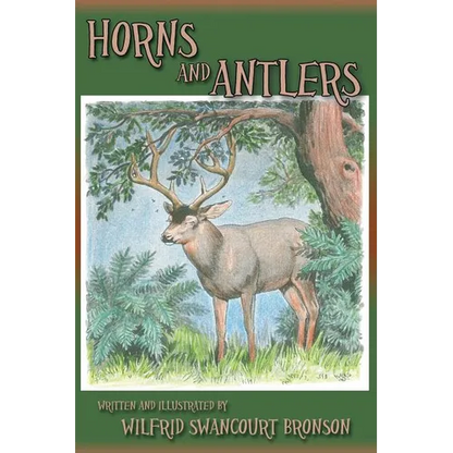 Horns and Antlers - Paperback