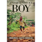 A Global Village Boy - Paperback