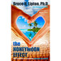 The Honeymoon Effect: The Science of Creating Heaven on Earth - Paperback