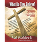 What Do They Believe? An Examination of 17 Major Religious Movements - Paperback