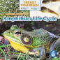 We Read about the Amphibian Life Cycle - Paperback