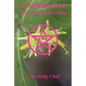 Witch Doctor: The Craft of Healing - Paperback