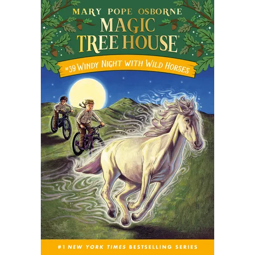 Windy Night with Wild Horses - Paperback