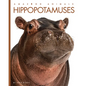 Hippopotamuses - Library Binding