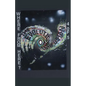 The Evolution of Confusion ...4 of 5 (Where From Here?) - Paperback