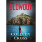 Blowout: A Katerina Carter Fraud Legal Thriller - Hardcover