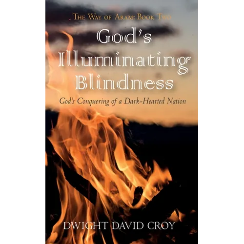 God's Illuminating Blindness - Paperback