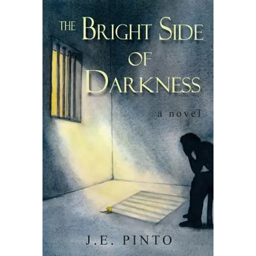 The Bright Side of Darkness - Paperback