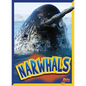 Narwhals - Paperback