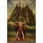 Solastalgia - Paperback