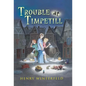Trouble at Timpetill - Hardcover