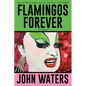 Flamingos Forever: A Screenplay - Paperback